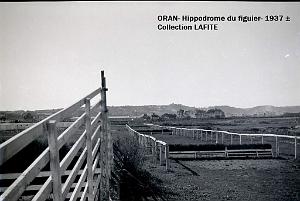 ORAN 1937 HYPPODROME DU FIGIER    (19)